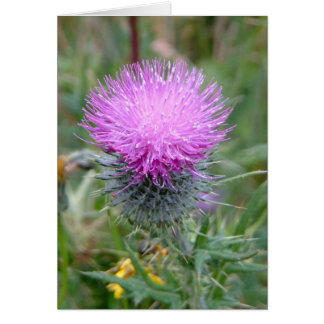 Thistle Hälsningskort