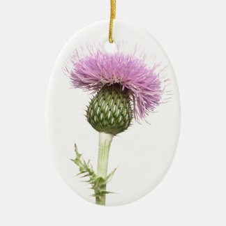 Thistle Julgransprydnad Keramik