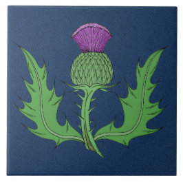 Thistle Kakelplatta