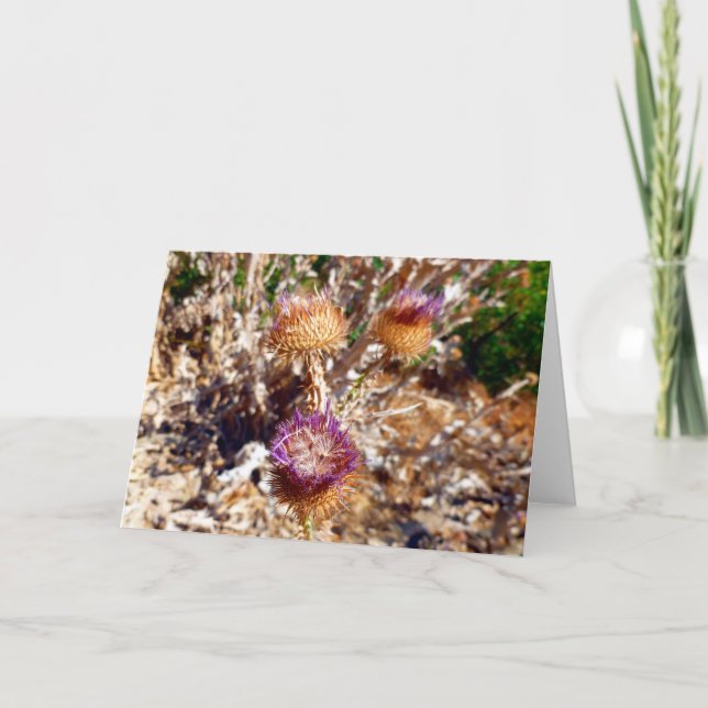 Thistle Kort (Framsida)