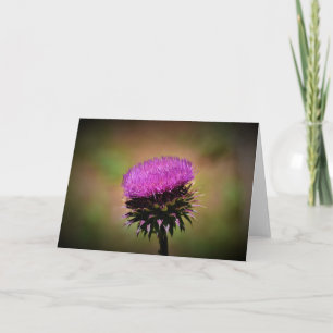 Thistle, kort