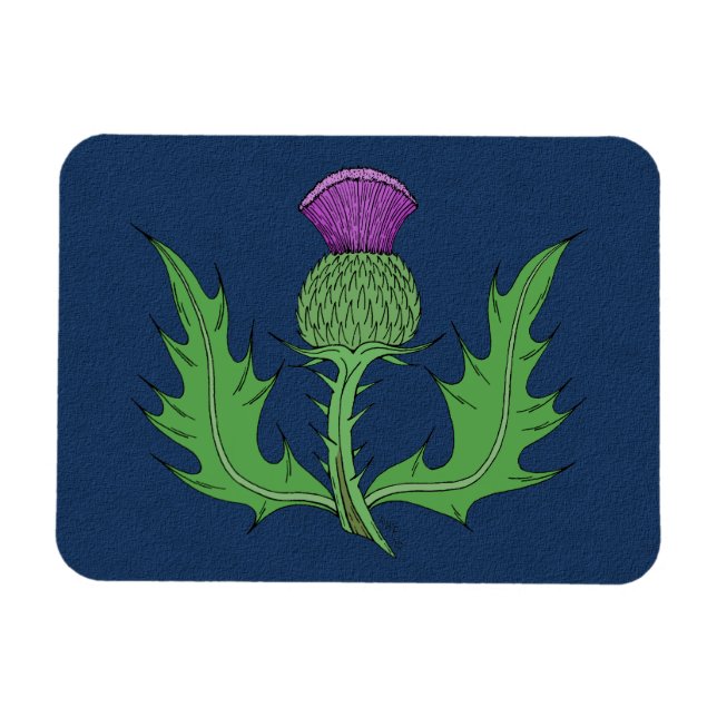 Thistle Magnet (Horisontell)