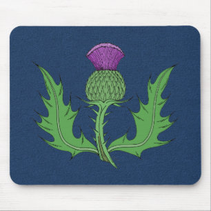 Thistle Musmatta