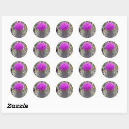 Thistle Plant Sticker Runt Klistermärke