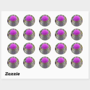 Thistle Plant Sticker Runt Klistermärke