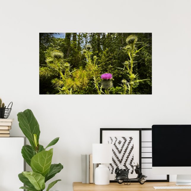 Thistle Poster (Hemmakontoret)