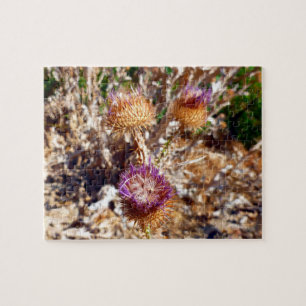 Thistle Pussel