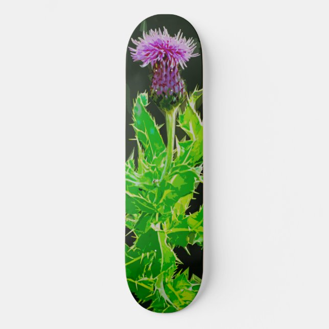 Thistle Skatebox Old School Skateboard Bräda 21,6 Cm (Framsida)
