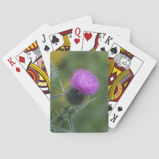 Thistle som leker kort spel kort