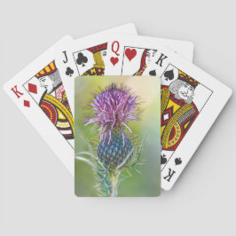 Thistleffekortet Casinokort