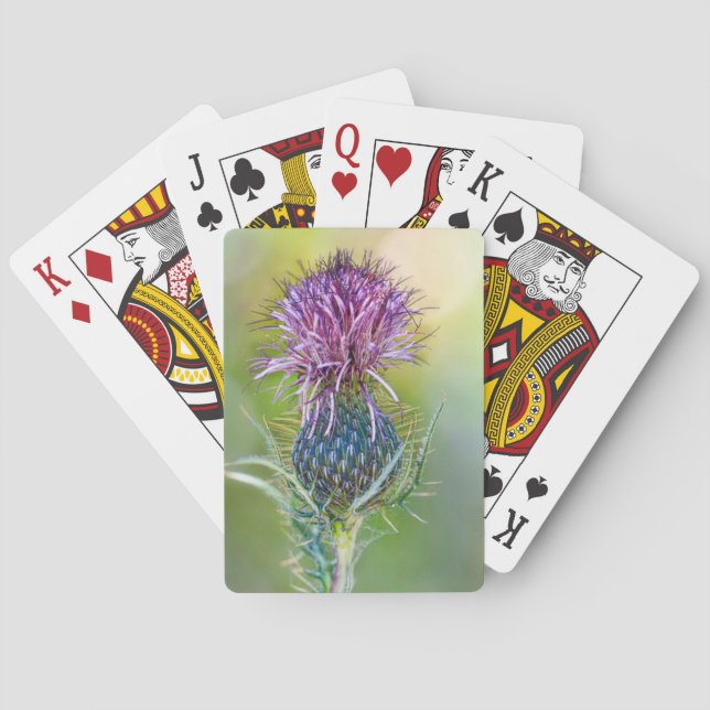 Thistleffekortet Casinokort (Baksidan)