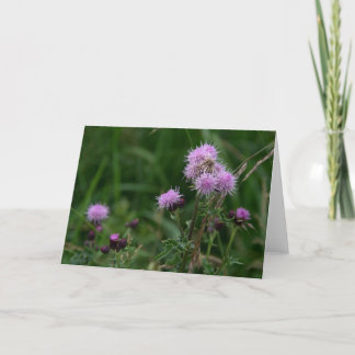 Thistles Kort