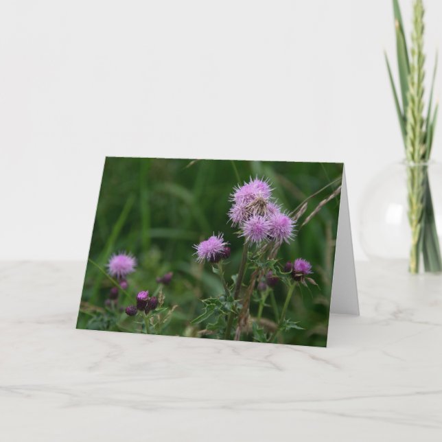 Thistles Kort (Framsida)