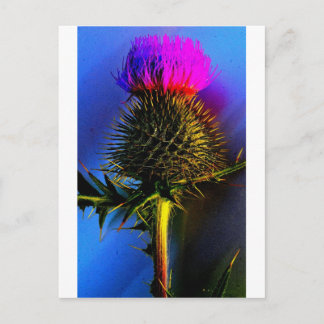 Thistles, Skottlands blomma. Vykort