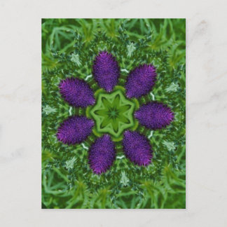 Thistles Vykort