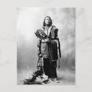 Thomas American Horse Vykort