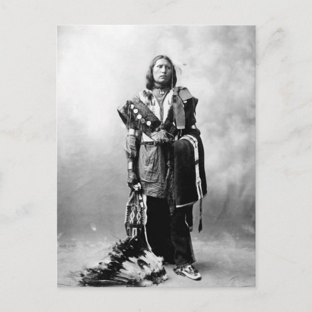 Thomas American Horse Vykort (Framsida)