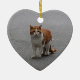 Thomas Ginger and White Cat Julgransprydnad Keramik