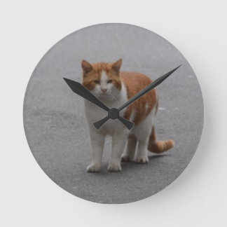 Thomas Ginger och vit katt Rund Klocka