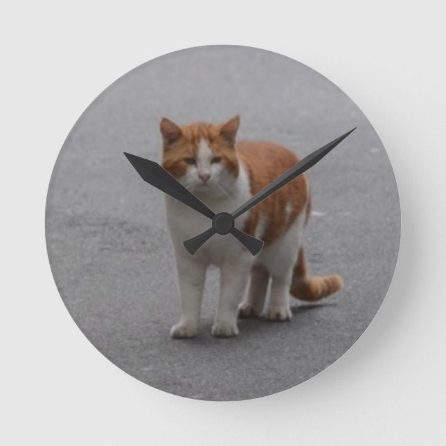 Thomas Ginger och vit katt Rund Klocka (Framsida)