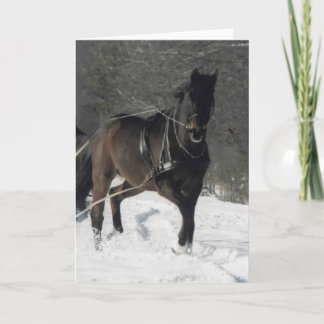 Thomas i Snö Helgkort
