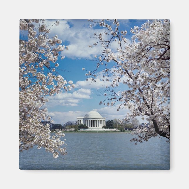 Thomas Jefferson Memorial med Cherry Blommars Magnet (Framsidan)