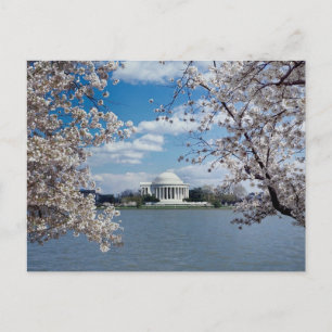 Thomas Jefferson Memorial med Cherry Blommars Vykort