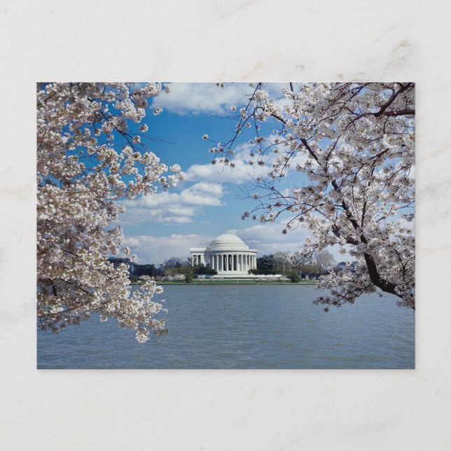 Thomas Jefferson Memorial med Cherry Blommars Vykort (Framsida)