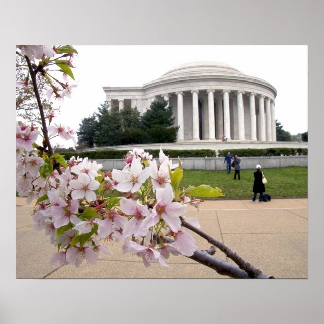 Thomas Jefferson-minnesmärket med körsbärsblom Poster (Framsidan)
