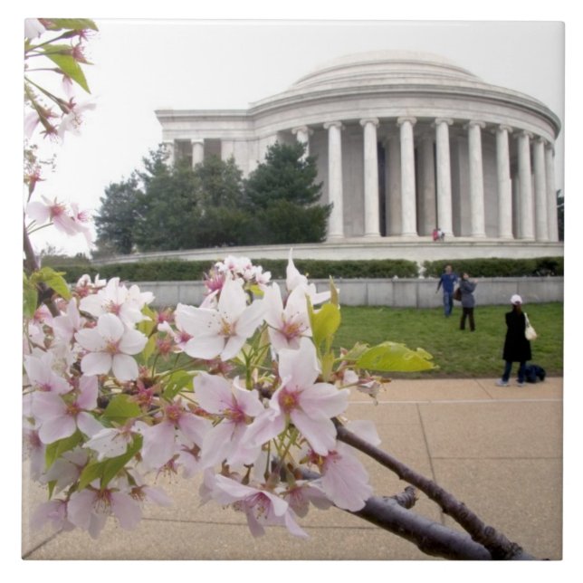Thomas Jefferson-minnesmärket med körsbärsblommor Kakelplatta (Framsidan)