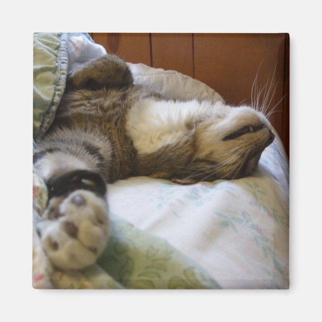 Thomas relaxing magnet (Framsidan)