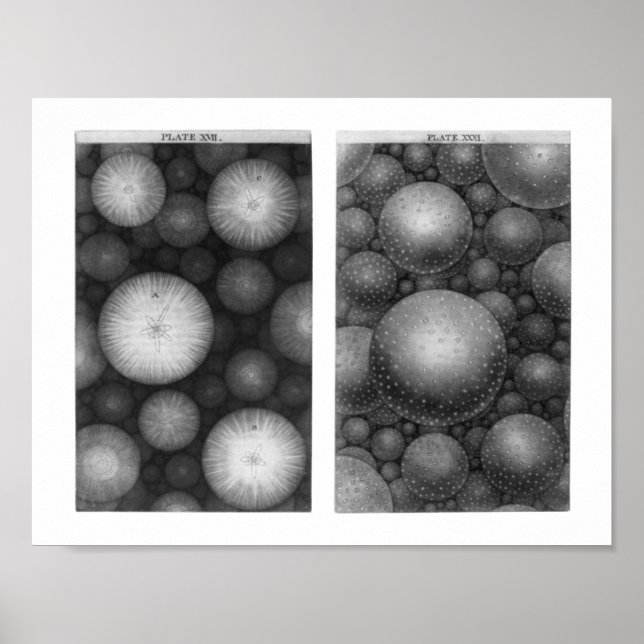 Thomas Wrights Universe Poster (Framsidan)