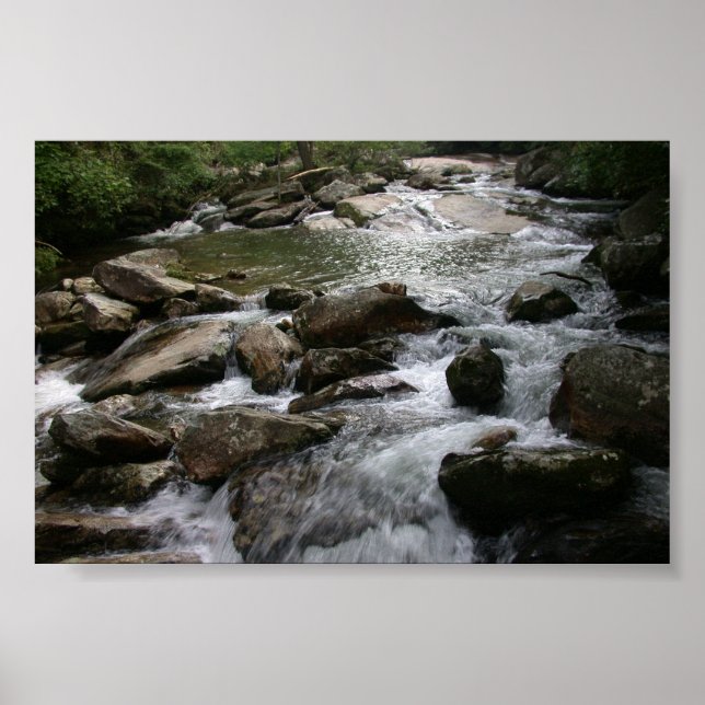 Thompson River Poster (Framsidan)