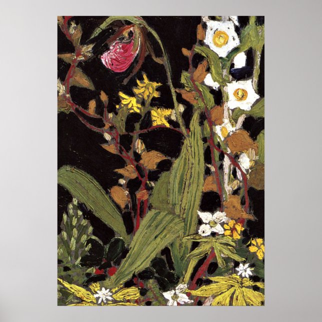 Thomson - Orchids, Algonquin Park Poster (Framsidan)