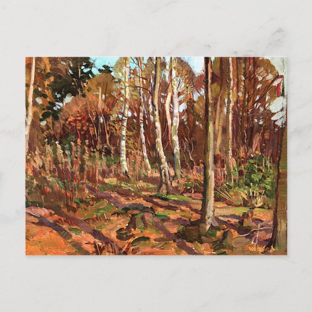 Thomson - View of Algonquin Park Vykort (Framsida)