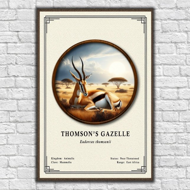 Thomsons gasell zoologisk serie poster (Skapare uppladdad)