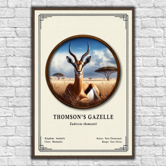 Thomsons gasell zoologisk serie poster (Skapare uppladdad)
