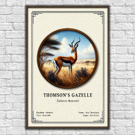 Thomson's Gazelle Zoology Series Poster