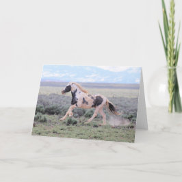 Thor av McCullough Peaks Greeting Card Tack Kort