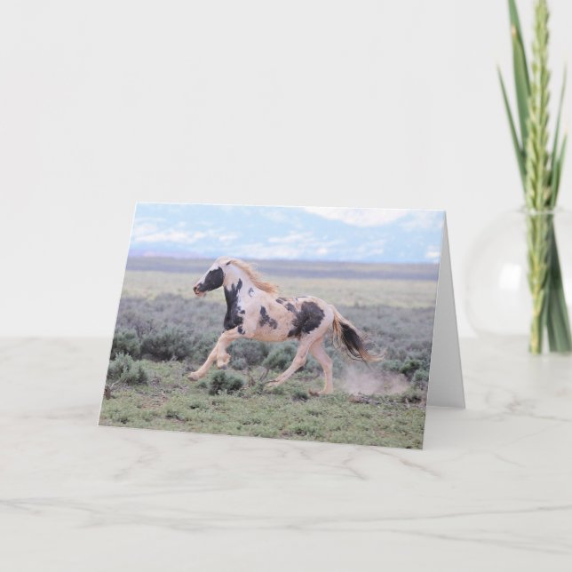 Thor av McCullough Peaks Greeting Card Tack Kort (Framsida)