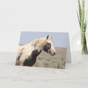 Thor av McCullough Peaks Greeting Card Tack Kort