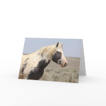 Thor av McCullough Peaks Greeting Card