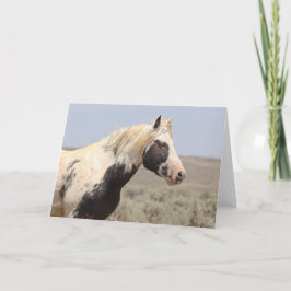 Thor av McCullough Peaks Greeting Card Tack Kort