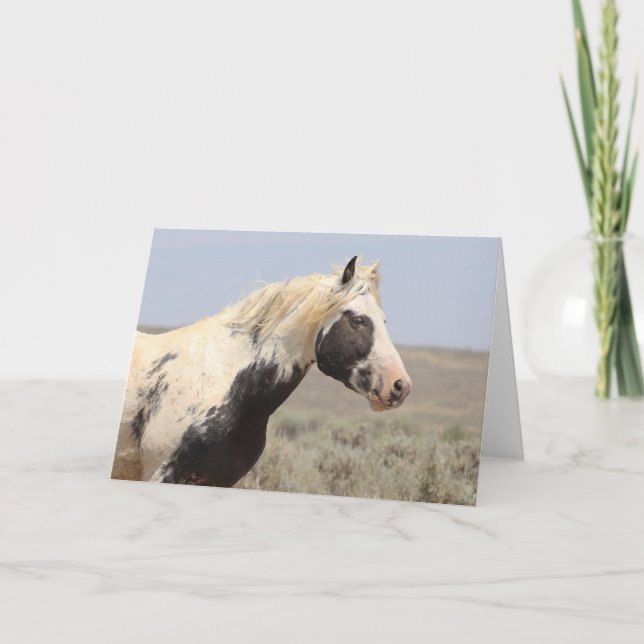 Thor av McCullough Peaks Greeting Card Tack Kort (Framsida)