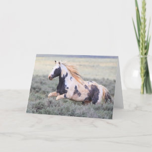 Thor av McCullough Peaks Greeting Card Tack Kort