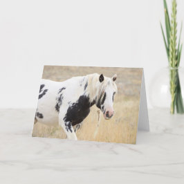 Thor av McCullough Peaks Greeting Card Tack Kort