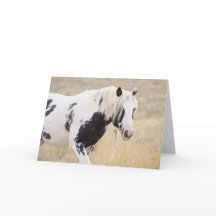 Thor av McCullough Peaks Greeting Card