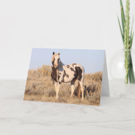 Thor av McCullough Peaks Greeting Card Tack Kort