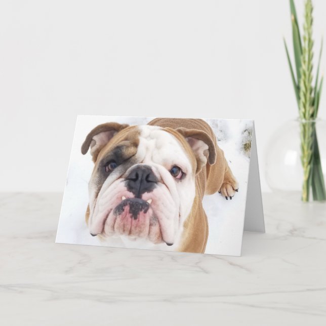 Thor bulldogghälsningkortet helgkort (Framsida)