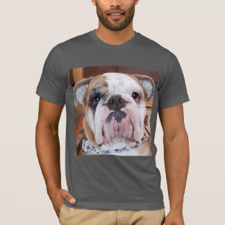Thor bulldoggvuxenT-tröja T Shirt